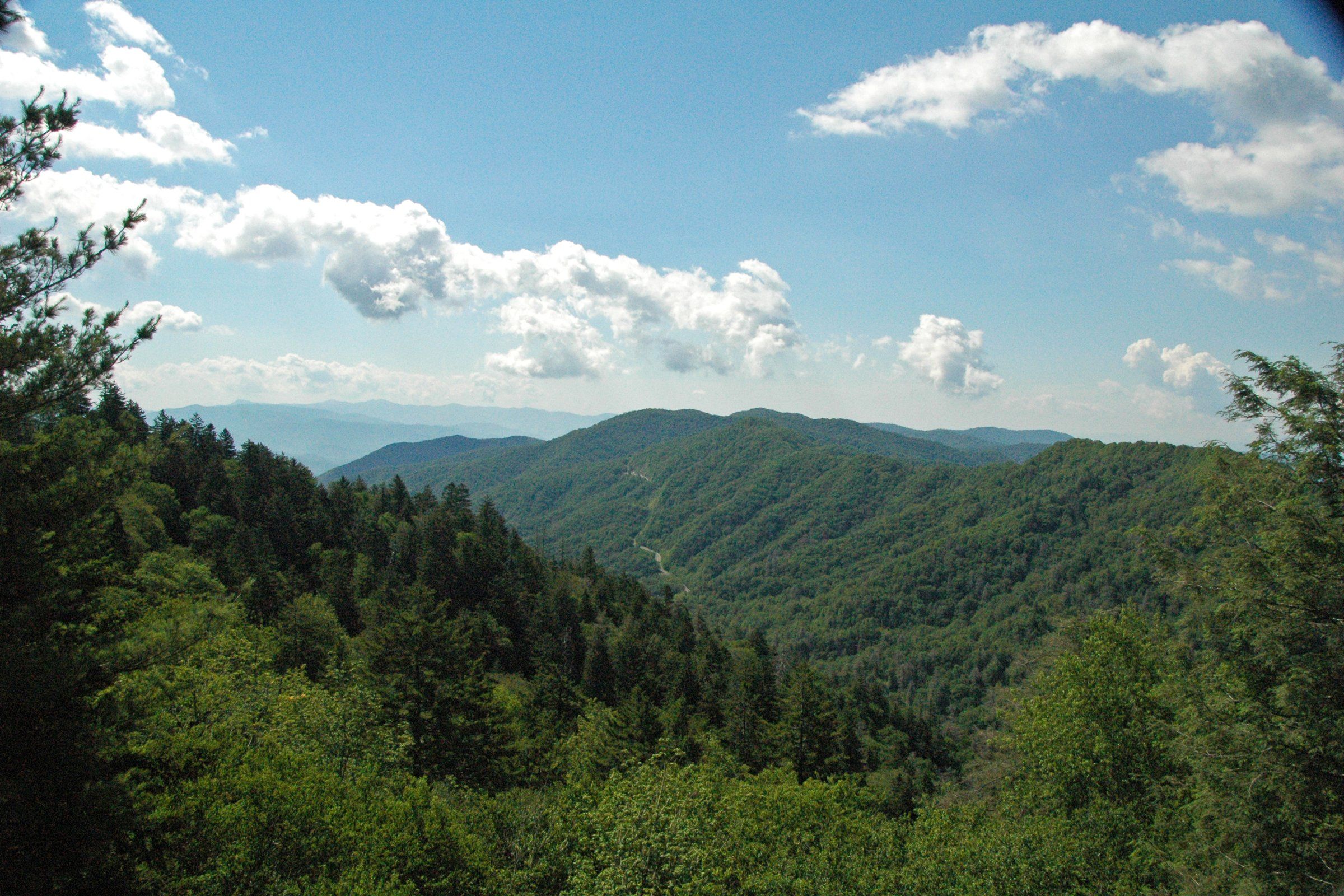 Wooded Blue Ridge slopes fall away under a summer sky, seen from Newfound Gap in Swain County, North Carolina.